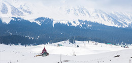 Charismatic Kashmir with Gulmarg 6 Nights - Summer Special